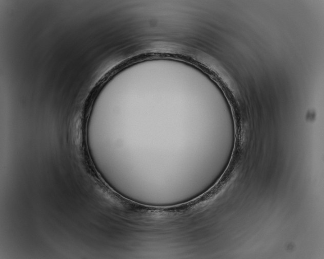 X0000102850829200809021358