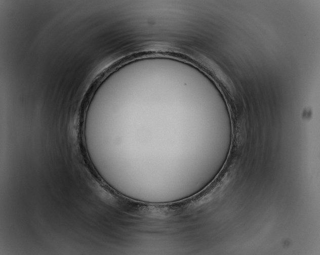 X0000102850831200809021358