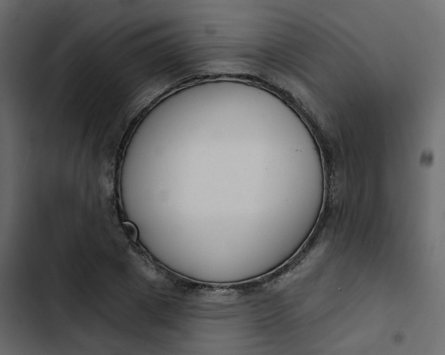 X0000102850833200809021358