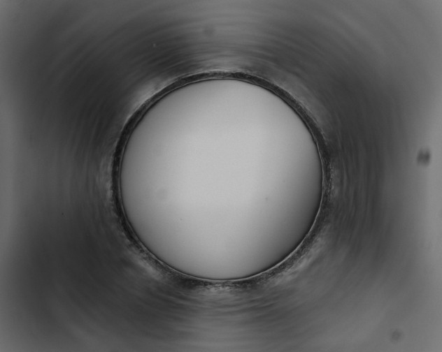 X0000102850834200809021358