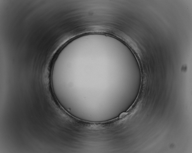 X0000102850835200809021359