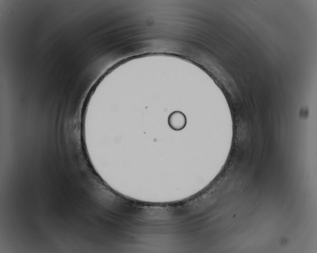 X0000102850836200809021359