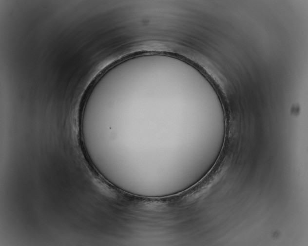 X0000102850837200809021359