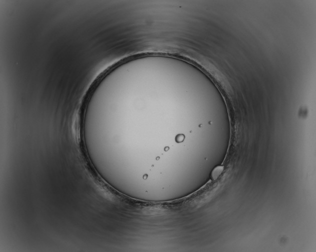 X0000102850838200809021359