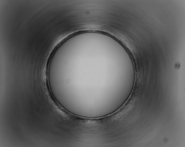 X0000102850839200809021359