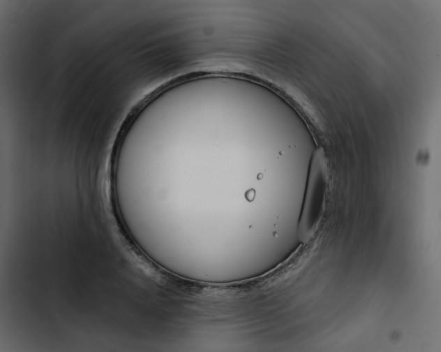 X0000102850840200809021359