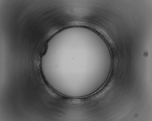 X0000102850841200809021359