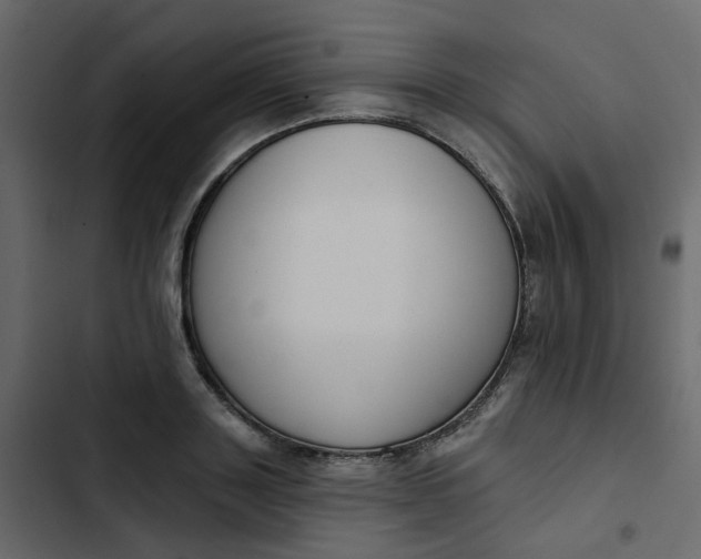 X0000102850843200809021359