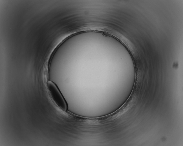 X0000102850844200809021359