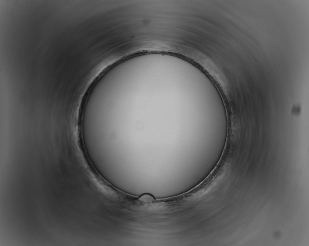 X0000102850845200809021359