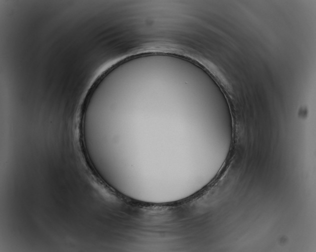 X0000102850846200809021359