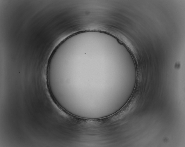 X0000102850847200809021359