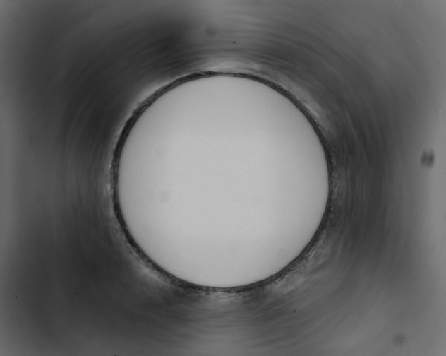 X0000102850848200809021359