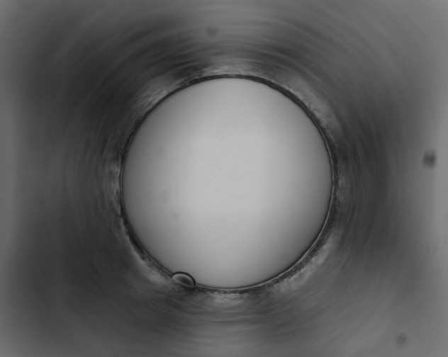 X0000102850849200809021359