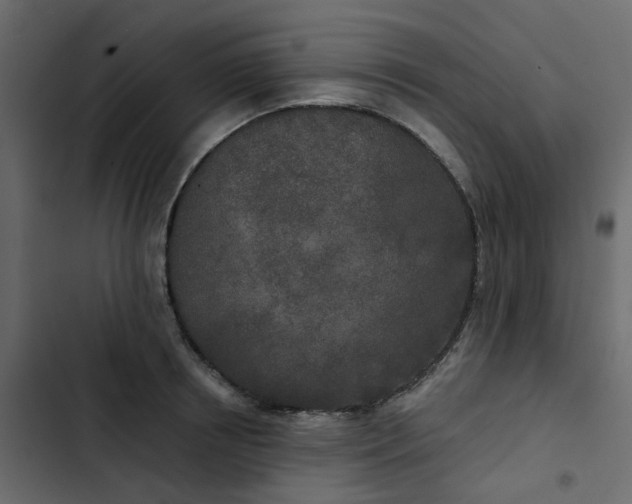 X0000102850850200809021359