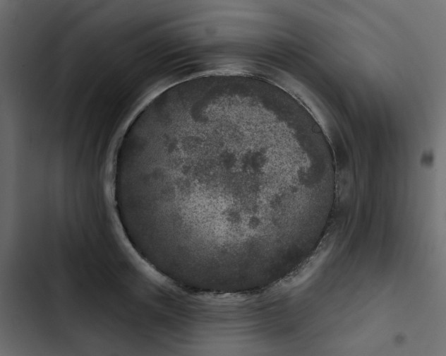 X0000102850851200809021359