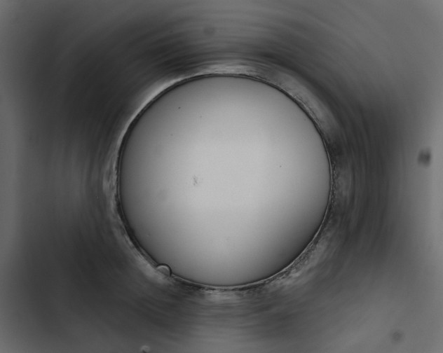 X0000102850852200809021359