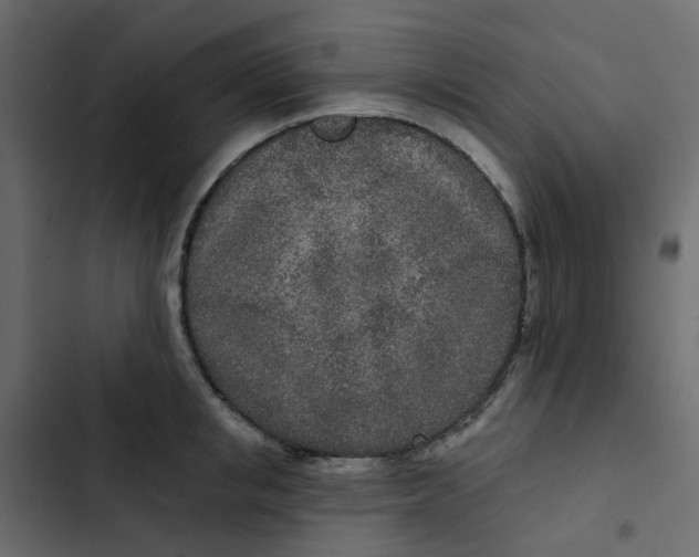 X0000102850853200809021359