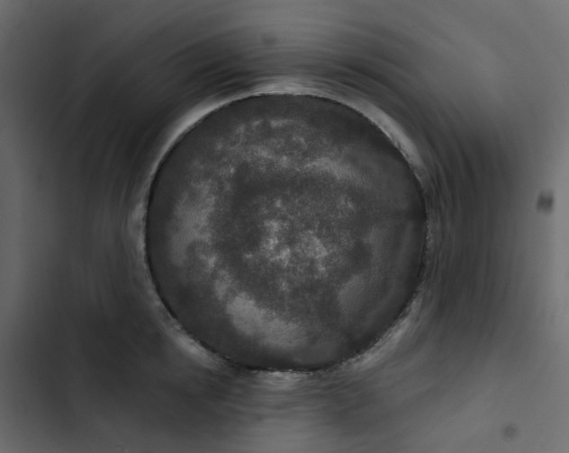 X0000102850854200809021359