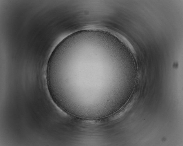 X0000102850855200809021359