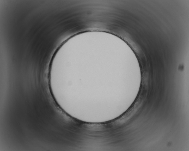 X0000102850856200809021359