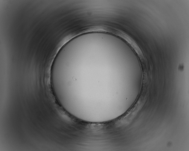 X0000102850858200809021359