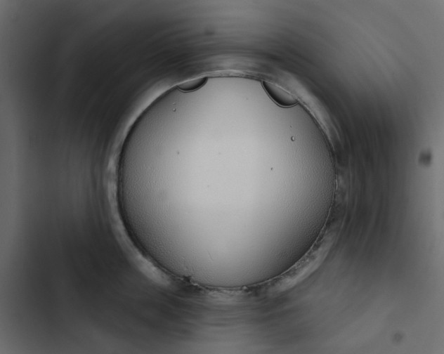 X0000102850859200809021359