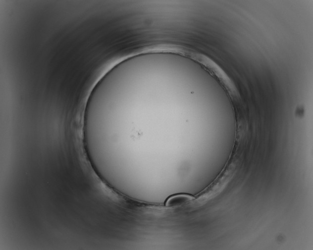 X0000102850860200809021359