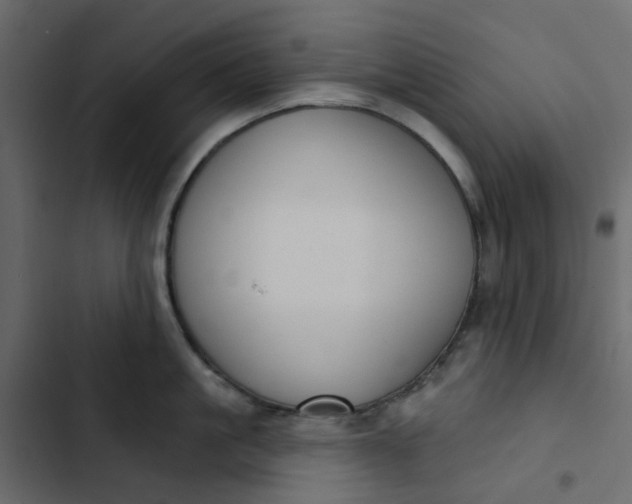 X0000102850861200809021359