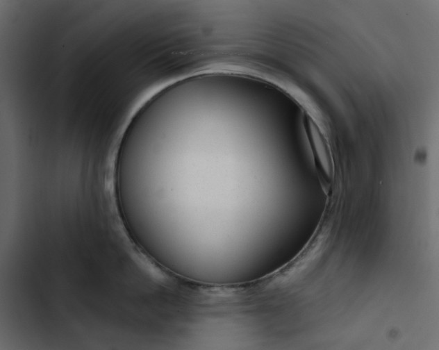 X0000102850862200809021359