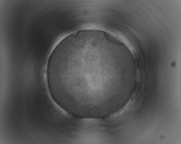 X0000102850863200809021359