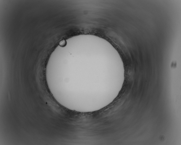 X0000102850865200809021358