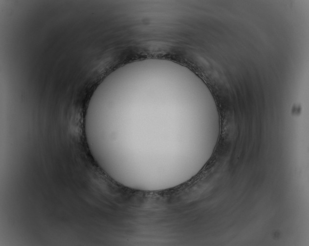 X0000102850866200809021358