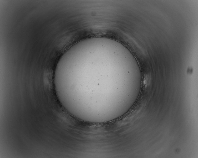 X0000102850867200809021358