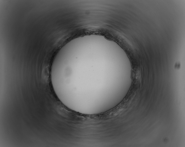 X0000102850868200809021358