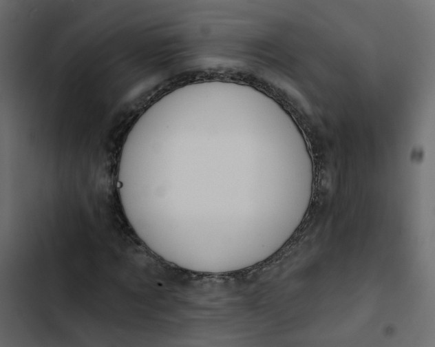 X0000102850869200809021358