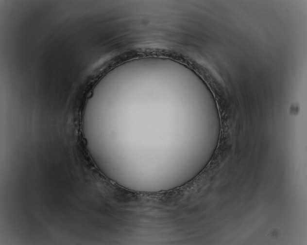 X0000102850870200809021358