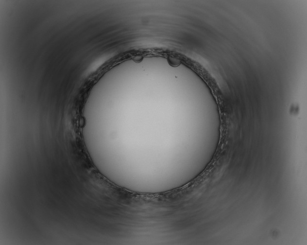 X0000102850871200809021358