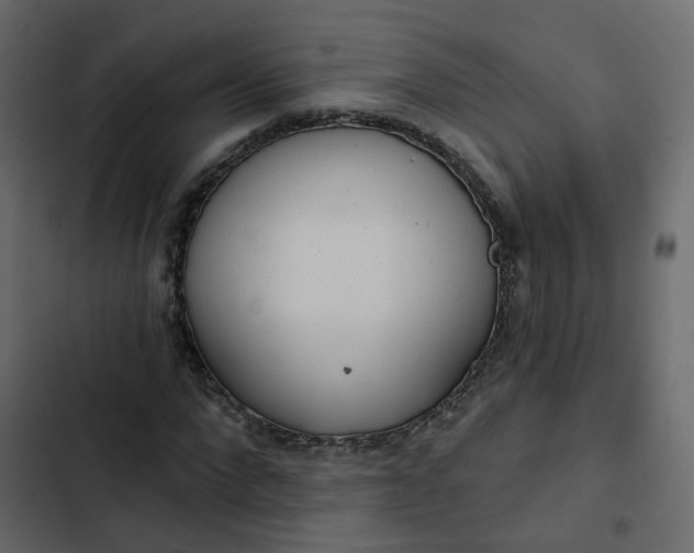 X0000102850872200809021358