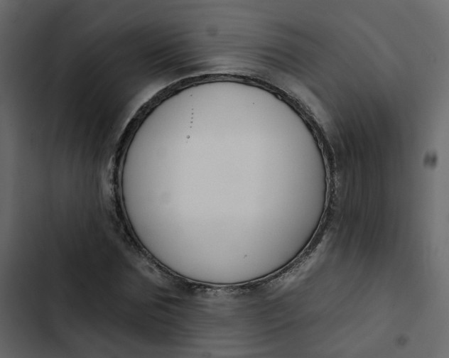 X0000102850875200809021358