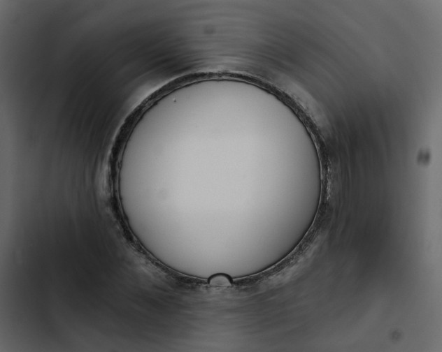 X0000102850876200809021358