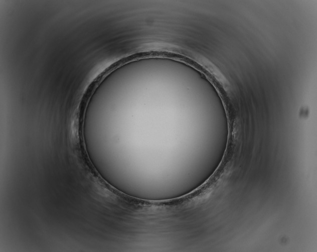 X0000102850877200809021358