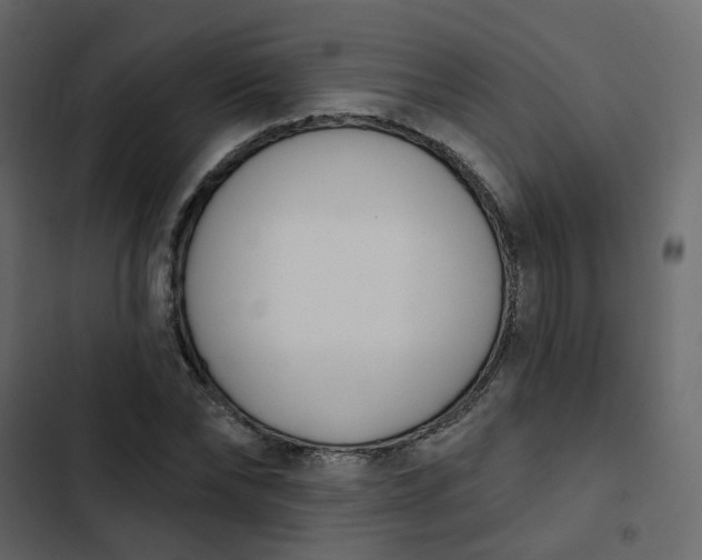 X0000102850878200809021358