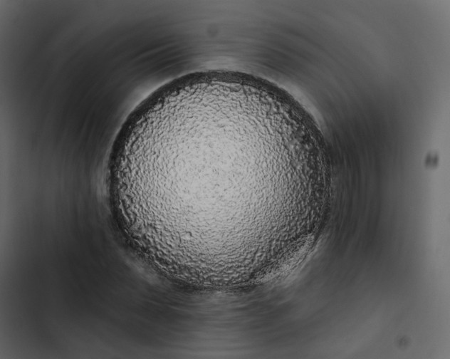 X0000102850879200809021358