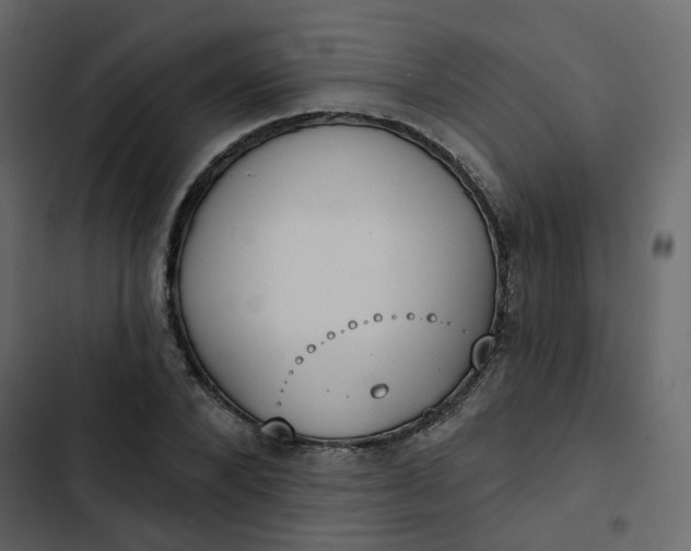 X0000102850880200809021358