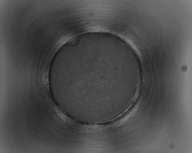 X0000102850881200809021358