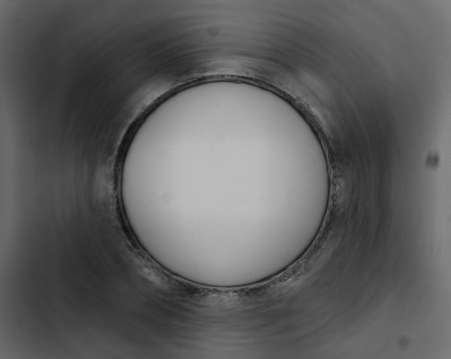 X0000102850882200809021358