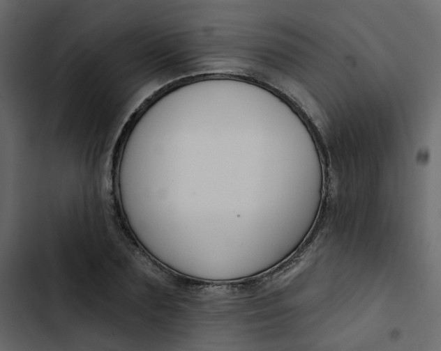 X0000102850883200809021358