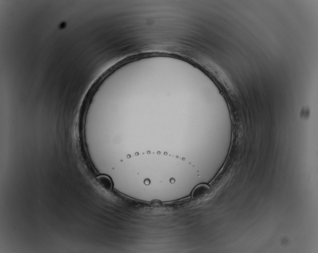 X0000102850884200809021358