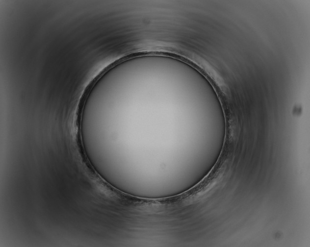 X0000102850885200809021358